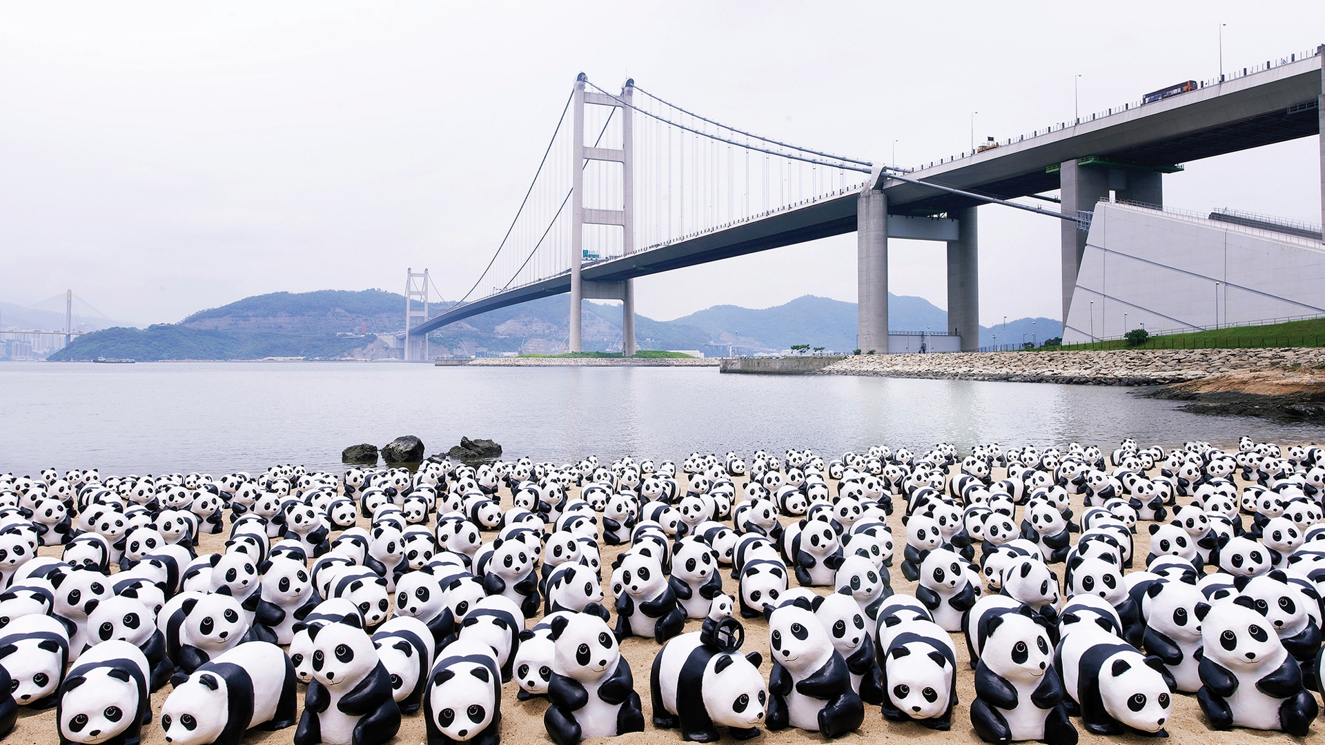 1600 PANDAS+ WORLD TOUR