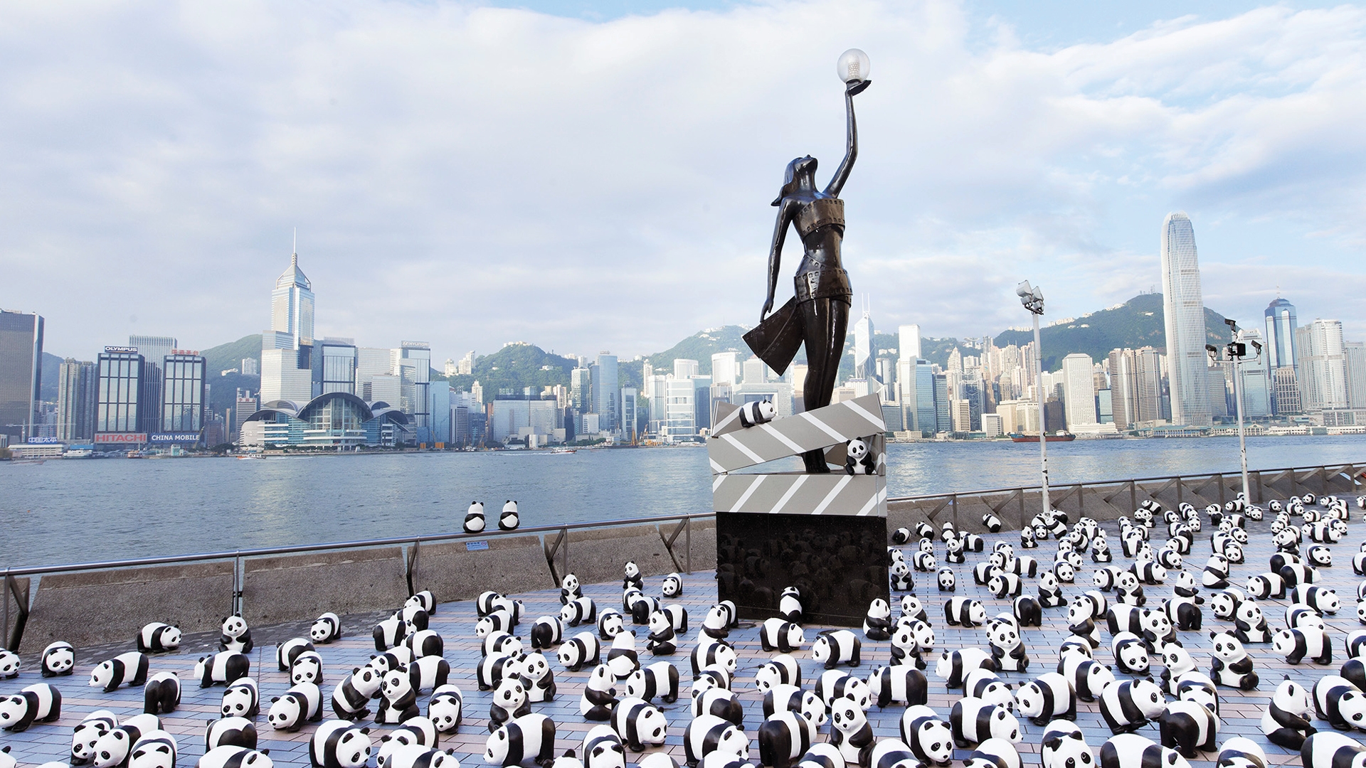 1600 PANDAS+ WORLD TOUR