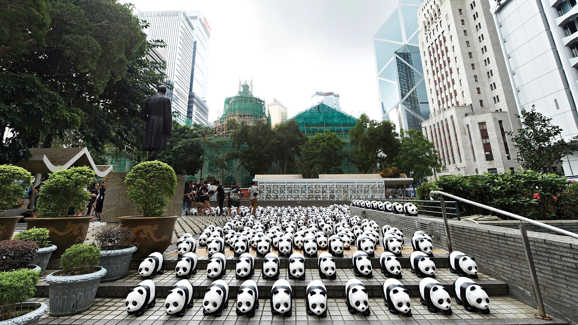 1600 PANDAS+ WORLD TOUR