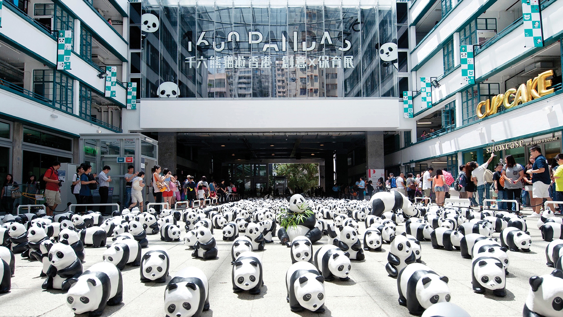 1600 PANDAS+ WORLD TOUR