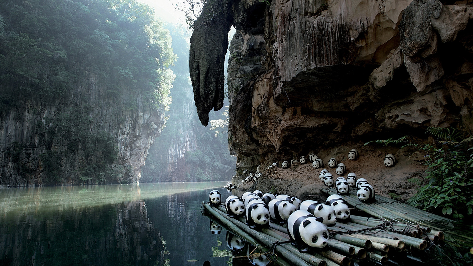 1600 PANDAS+ WORLD TOUR
