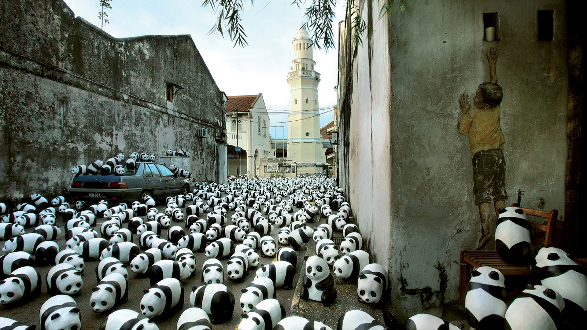 1600 PANDAS+ WORLD TOUR