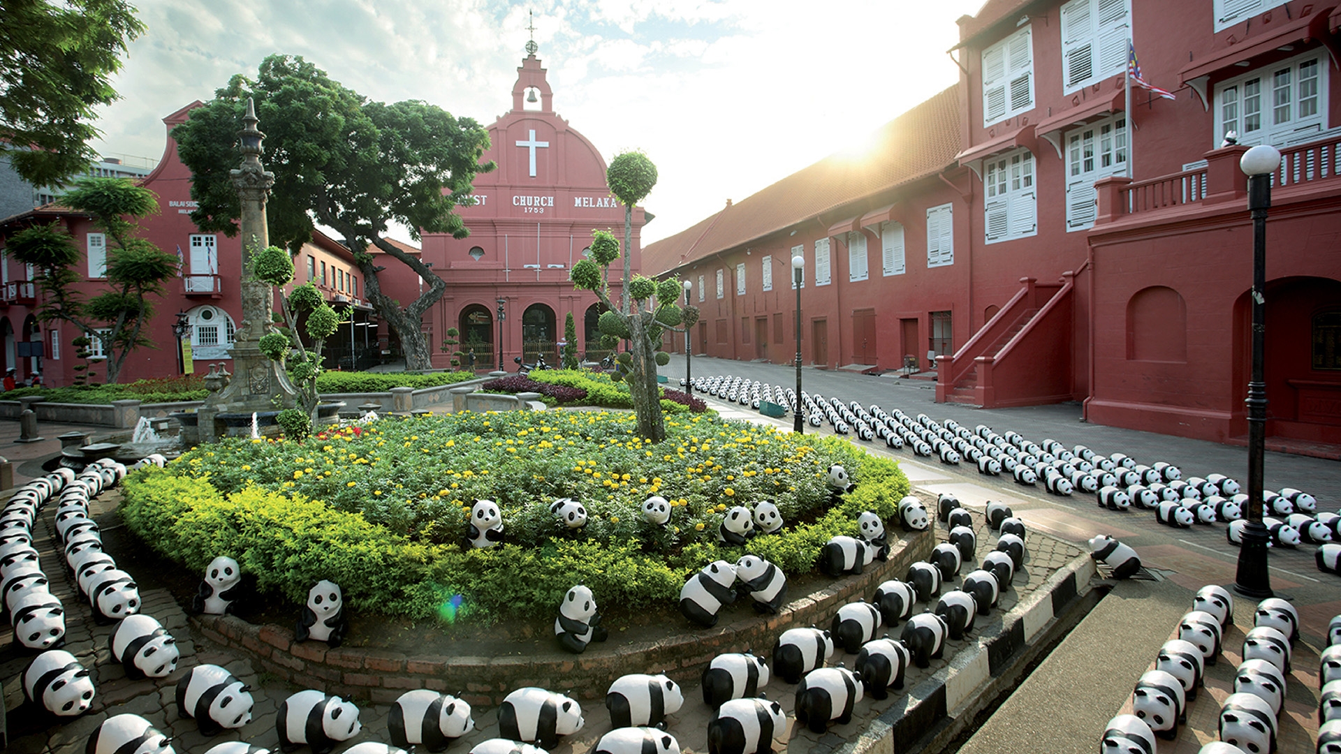 1600 PANDAS+ WORLD TOUR