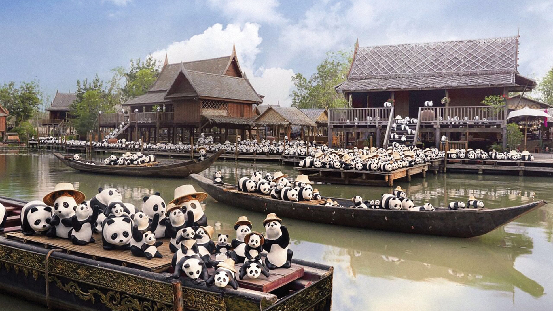 1600 PANDAS+ WORLD TOUR