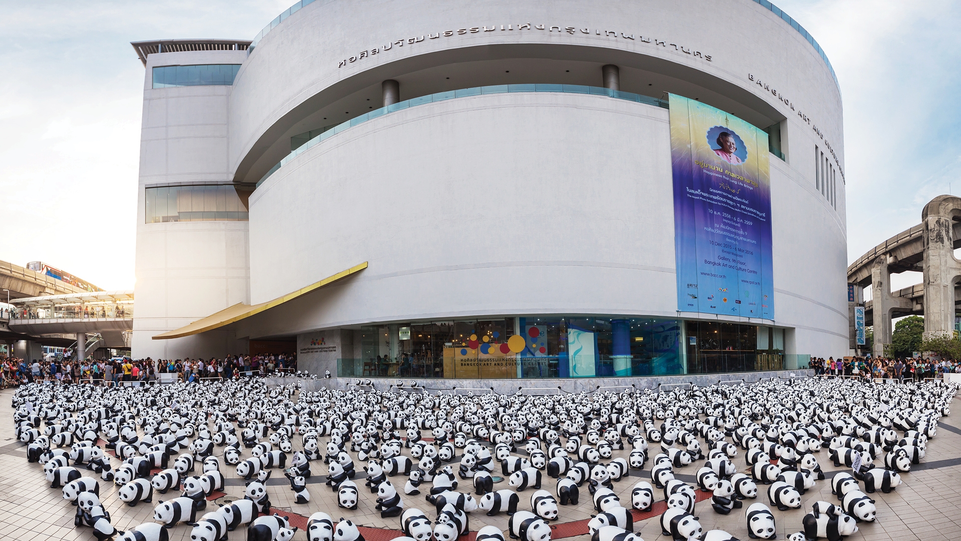 1600 PANDAS+ WORLD TOUR