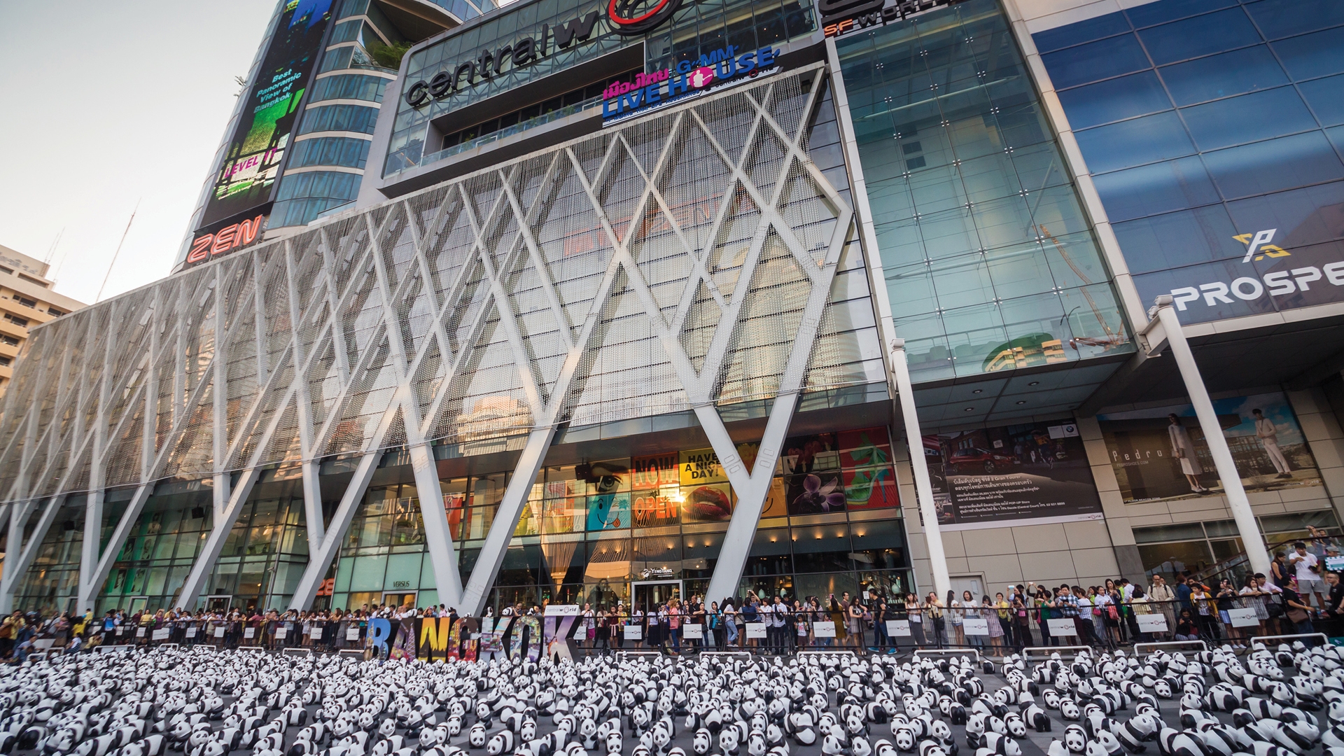 1600 PANDAS+ WORLD TOUR